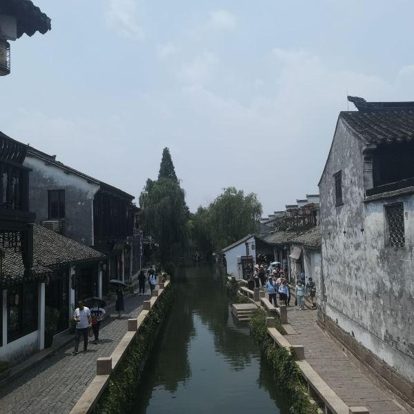 《幻兽帕鲁》开局基地选择攻略