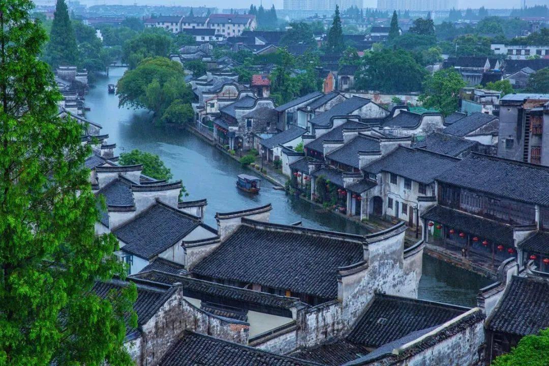 千城百县看中国丨河北内丘:生态向好 候鸟筑新巢